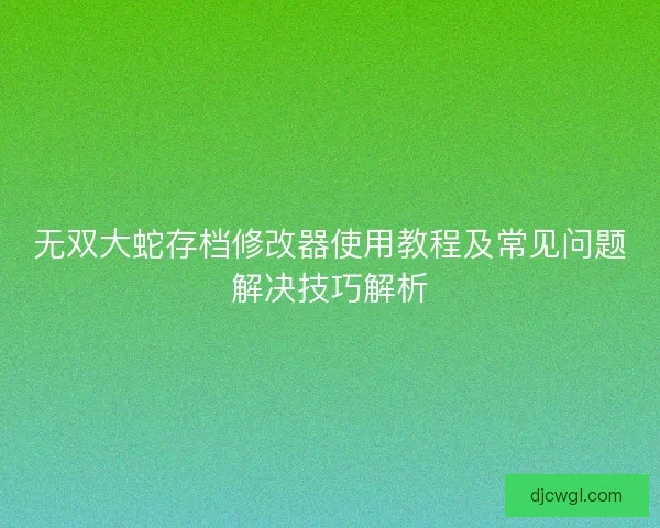 无双大蛇存档修改器使用教程及常见问题解决技巧解析